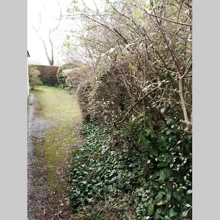 Prázdninový dům La Maison Des Reves, Des Fermes Barneville-Carteret